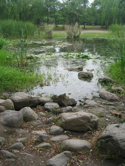 Picture